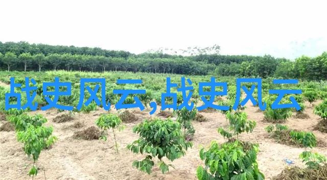 已爱为赢免费观看总结