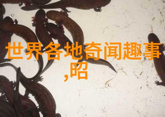 脔仙魔界中的豪门宠儿