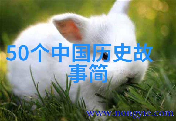 古希腊神话故事书探索奥林匹斯山的奇幻世界