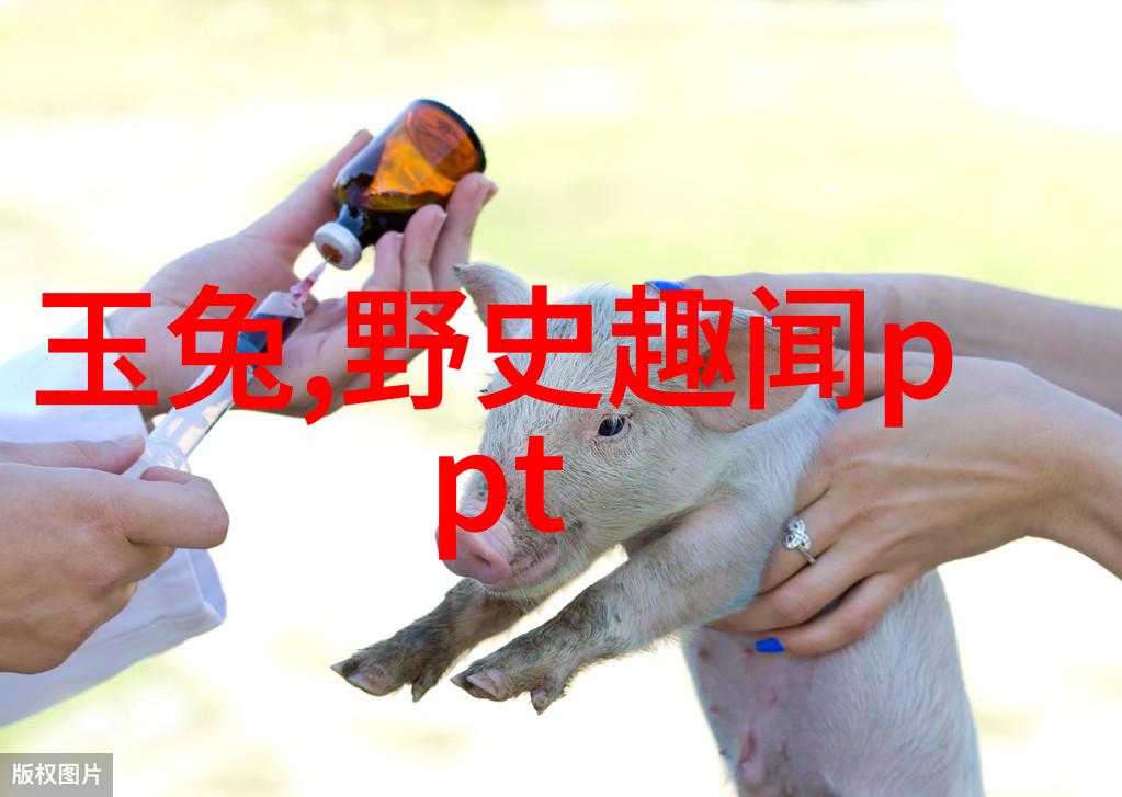 历史时空探索解锁过去的秘密
