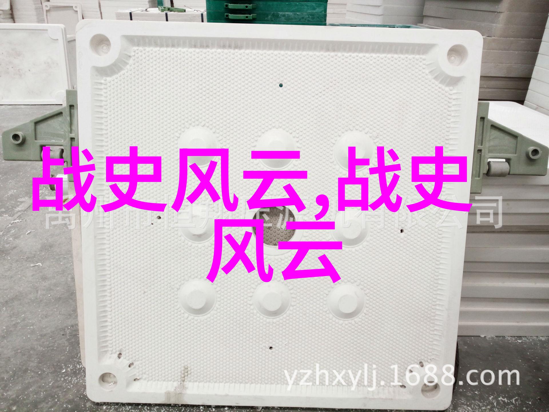 杨式太极拳张国峰的内在力量之旅