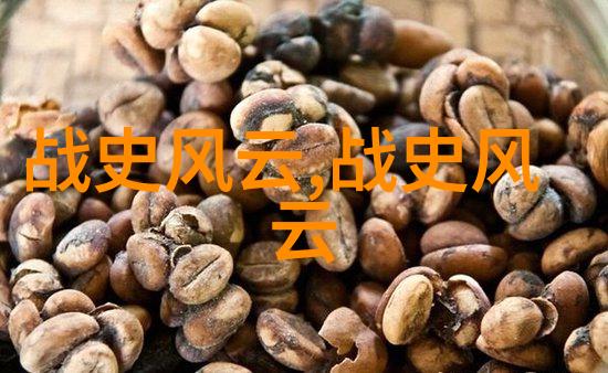 清朝大掌柜揭秘公主与格格的皇家差异