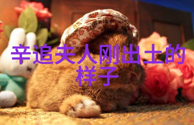 天界的密信