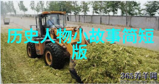 历史探索时光中的小英雄们