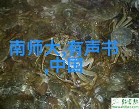 战役回放风云变幻中的英雄辉煌
