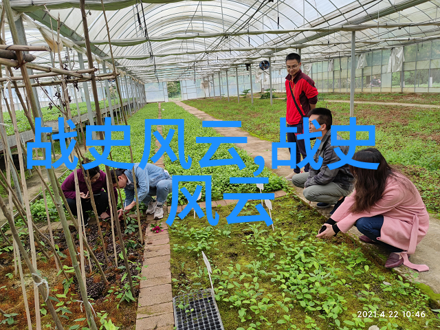 波兰神话故事大全100个密林女皇在社会的传说中