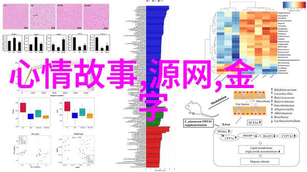 主题-49式动作解密古典武术中的精妙技巧