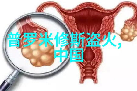 穿越时空的传说古代神话故事四年级探秘篇