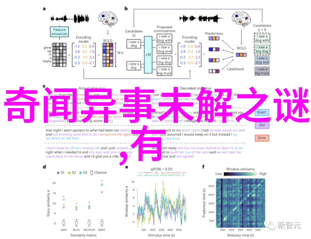 心动回响情感共鸣的力量
