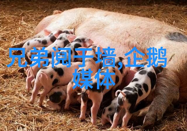 东林党简介东林大佛简介探索中国悠久历史的千年时光