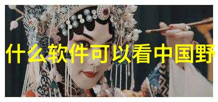 触控生活探索手机家园的数字生态