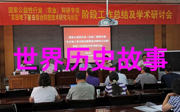 古代传说龙的守护与凤的舞动