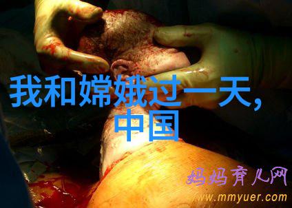 中国文化故事100例我来讲你听从神话传说到历史故事揭秘那些隐藏在中国文化里的宝藏