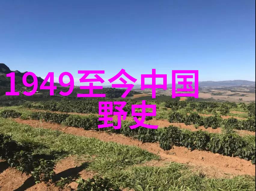 千年沉梦诡秘的玉皇宫