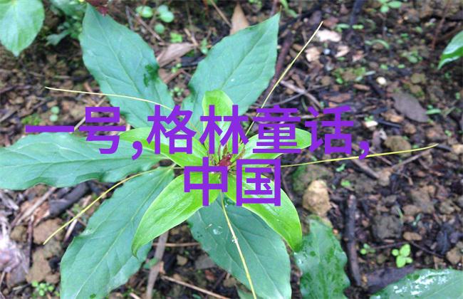 黄梅戏歌曲绘声绘影第六届艺术节文化盛宴上演