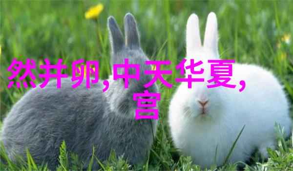 森林里的小熊与星星的秘密