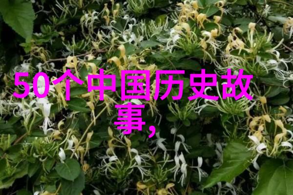 星光下的冒险古典睡前故事精选