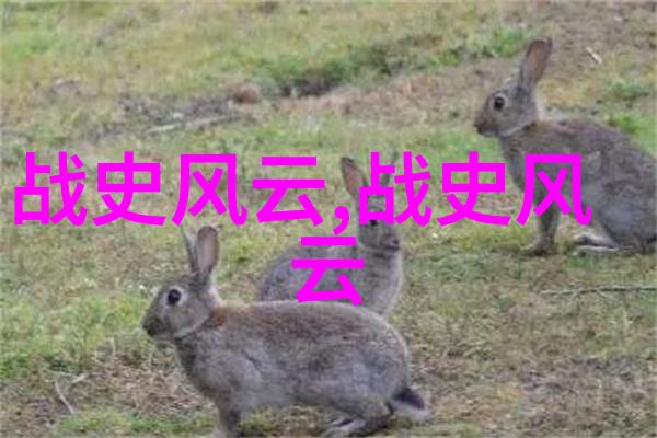 历史的秘密花园揭开古代文明的神秘面纱