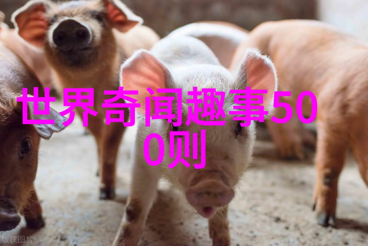 刘邦国学培训在社会的现状与未来展望