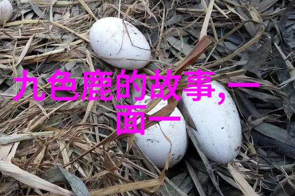 中国近代史探秘从鸦片战争到新中国的诞生一个民族的奋斗史