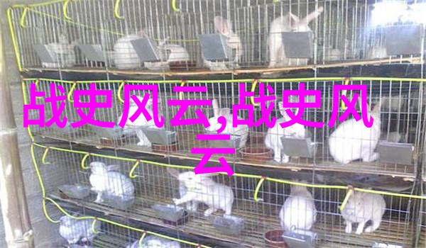宋朝之所以备受专家赞誉原因多端首先宋朝的政治体制相对成熟和完善其中央集权制度使得国家治理更加高效此外