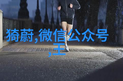 龙的守护者云游四海的神秘英雄