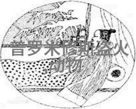 谁将揭开古老传说中的龙宫秘密掏出藏世的宝藏与神器