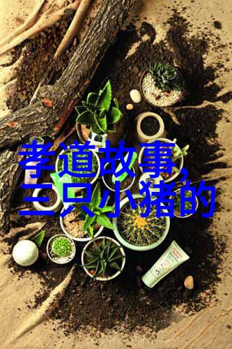 天上的大笑话如何一声喵让月亮变成了奶酪