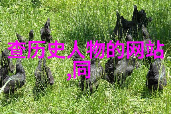西游记中的金箍棒与悟空大闹天宫了解唐僧师徒四人的传奇征程