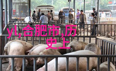 古文明留下的遗产解读成语的文化内涵
