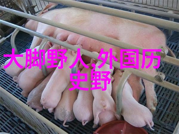 二年级学生的红色经典故事朗诵会传承革命精神激发文化情怀