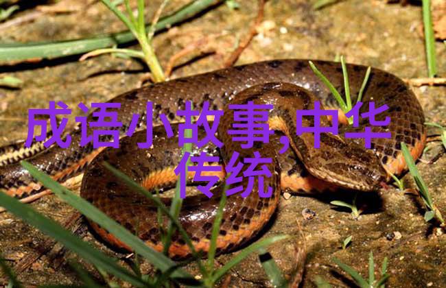 神话故事精选东方神龙与太阳花