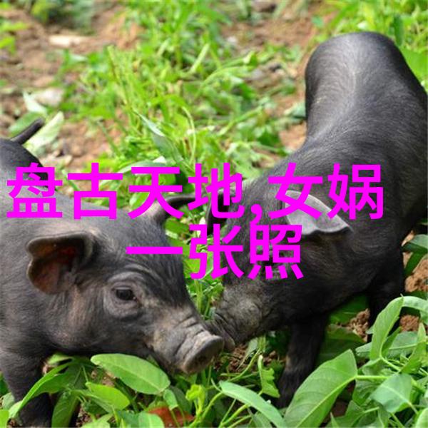 春秋战国名人赵普胜中国历史朝代顺序之杰出代表至今传颂
