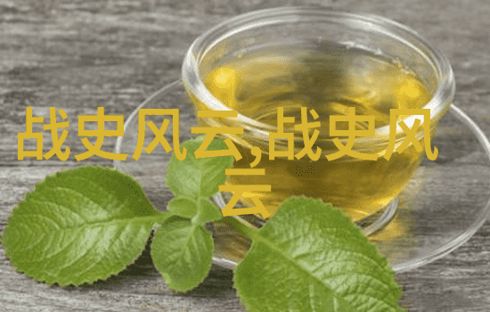 历史故事的千秋大计穿越时空的见证者