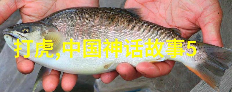 帝国野史趣闻-龙腾四海的秘密宴揭秘古代帝王间谍与宫廷斗争