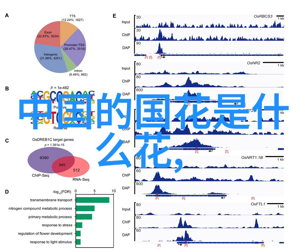 在中国近代史上红军长征前夜的斗争犹如一幅反复描绘历史人物事迹的画卷