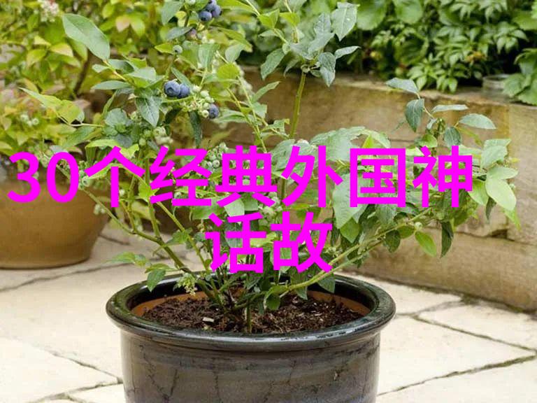 我们如何在平凡的一天里寻找乐趣和挑战