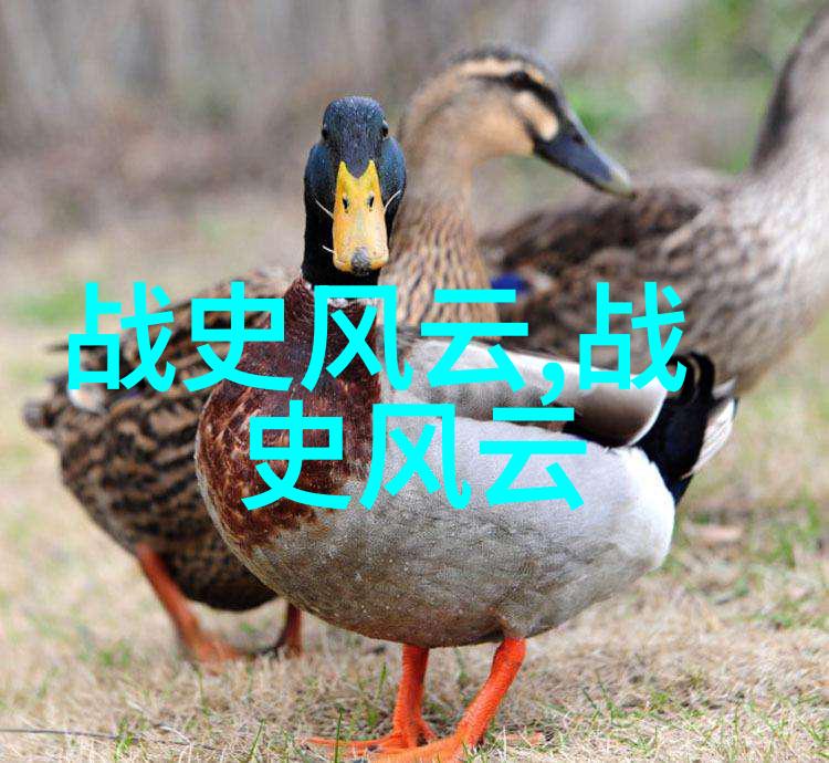 达芬奇的秘密笔记揭秘历史上的艺术大师