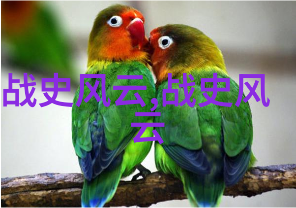 吴红军在社会舞台上饰演黄梅戏中的龙女展现了其出色的生行技艺