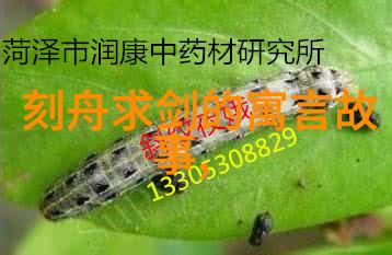 古代英雄的智慧之旅小李与失落的宝藏地图