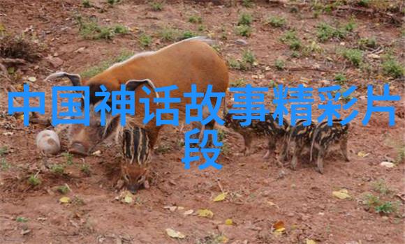 中国龙王的故事伏羲与鲤鱼跳龙门