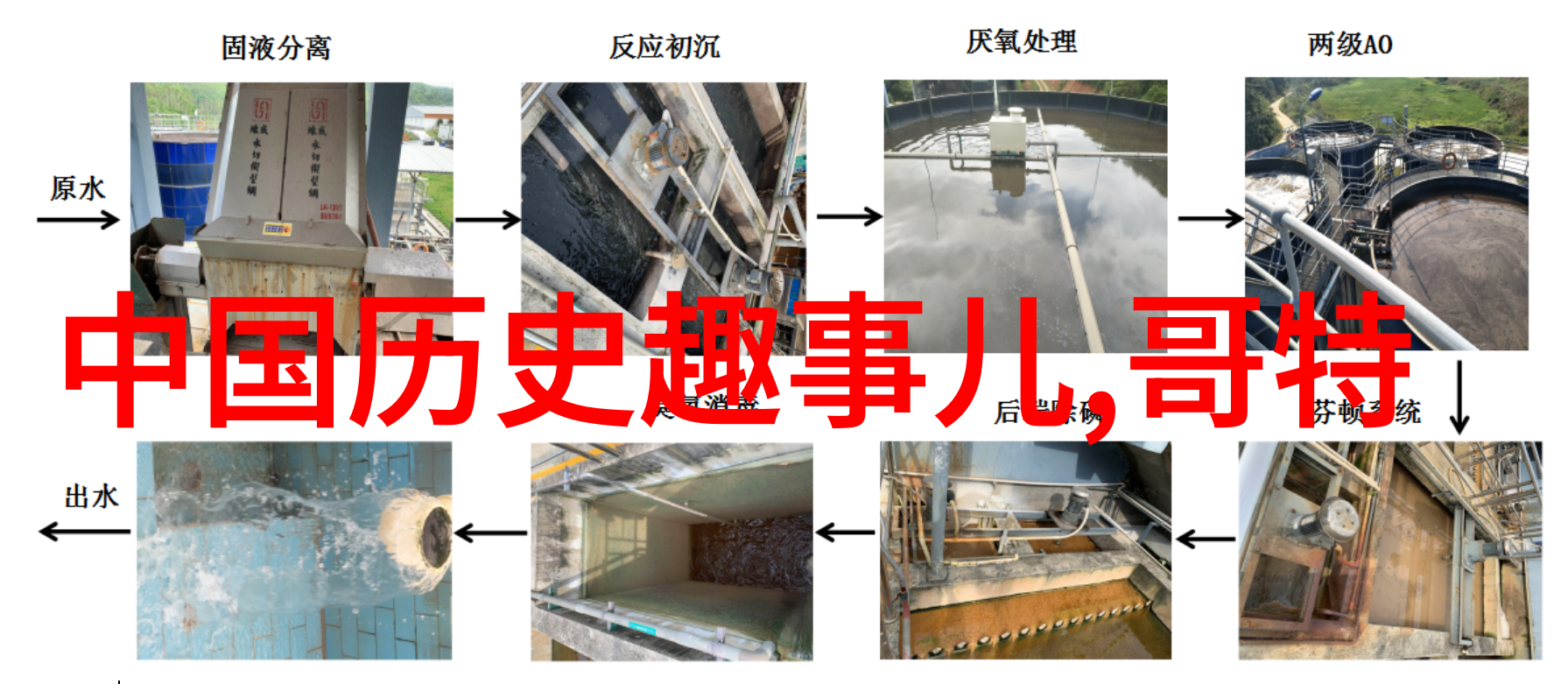 新中国简史宫女与皇帝的秘密传承谁能成为最强后宫