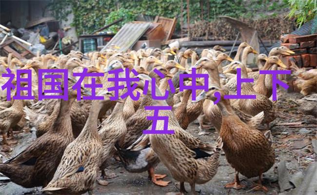 中国近代史上的民族英雄林则徐的反侵略斗争