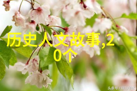 朱永康京剧票友与王珮瑜暗恋的故事