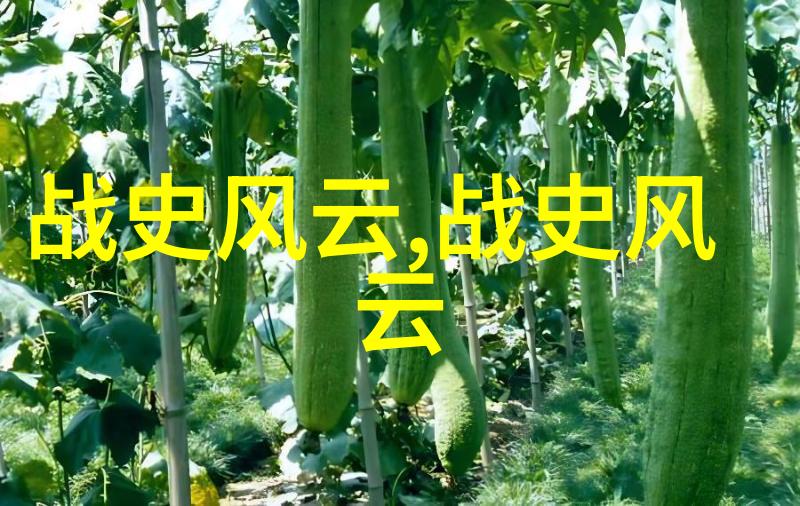 清朝九子夺嫡揭秘皇帝画像背后的权力斗争