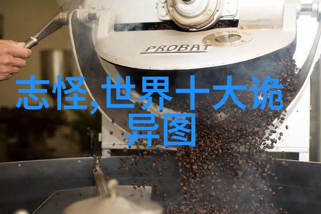 30分钟速食挑战如何在短时间内准备一个满足的晚餐