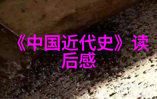 三年级必读历史故事我和小明的时空旅行揭秘古代的神奇世界