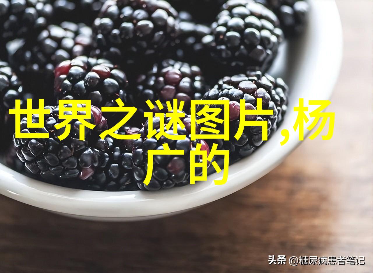 全真龙门派二十四代传人史为民与杨智积共赴古籍展探寻武学秘笈