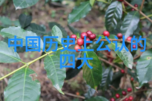 木乃伊与生灵之战尧舜时代的灾难