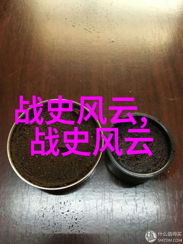 忠烈将领忽必烈征服南宋